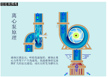 大東海泵業(yè)離心泵原理圖