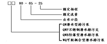 大東海泵業WQ污水提升泵型號意義